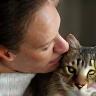 Marc et Amélie P. et Nina, chatte européenne